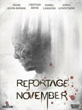 Постер Ноябрьский репортаж