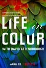 Постер Жизнь в цвете с Дэвидом Аттенборо