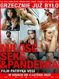 Постер Любовь, секс и пандемия
