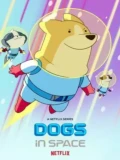 Постер Собаки в космосе