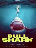 Постер Бычья акула