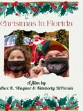 Постер Рождество во Флориде