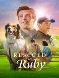 Постер Руби, собака-спасатель