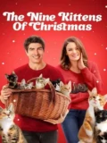 Постер Девять рождественских котят