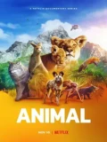 Постер Удивительные животные