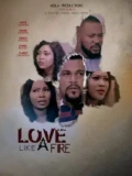 Постер Огненная любовь