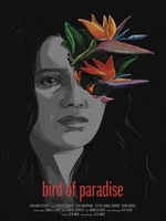 Постер Райская пташка