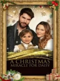 Постер Рождественское чудо для Дэйзи