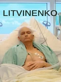 Постер Литвиненко