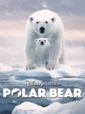 Постер Полярный медведь