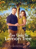 Постер Любовь под лимонным деревом