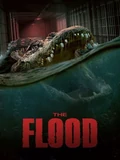 Постер Наводнение