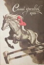Постер Самый красивый конь