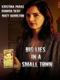 Постер Большая ложь в маленьком городе