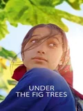 Постер Под фиговыми деревьями