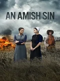 Постер Грех амишей