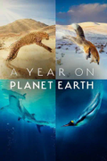 Постер Год на планете Земля