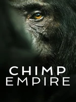Постер Империя шимпанзе