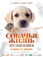 Постер Собачья жизнь: Друзья навек