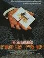 Постер Саламандра