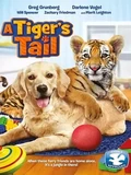 Постер Тигриный хвост