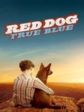 Постер Рыжий пес: Самый верный