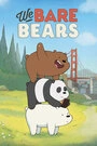 Постер Вся правда о медведях