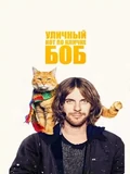 Постер Уличный кот по кличке Боб