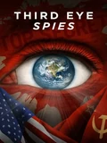 Постер Просветлённые шпионы
